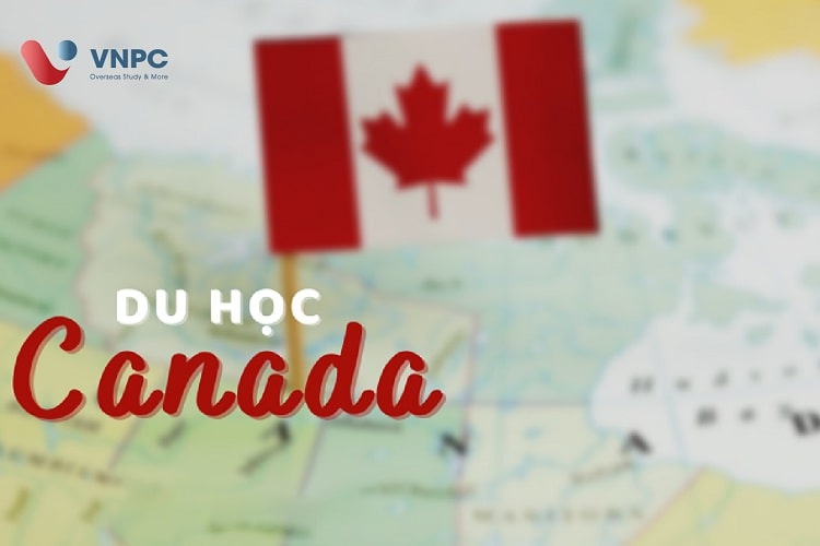 KING88 là nhà cái giải trí đỉnh cao Canada